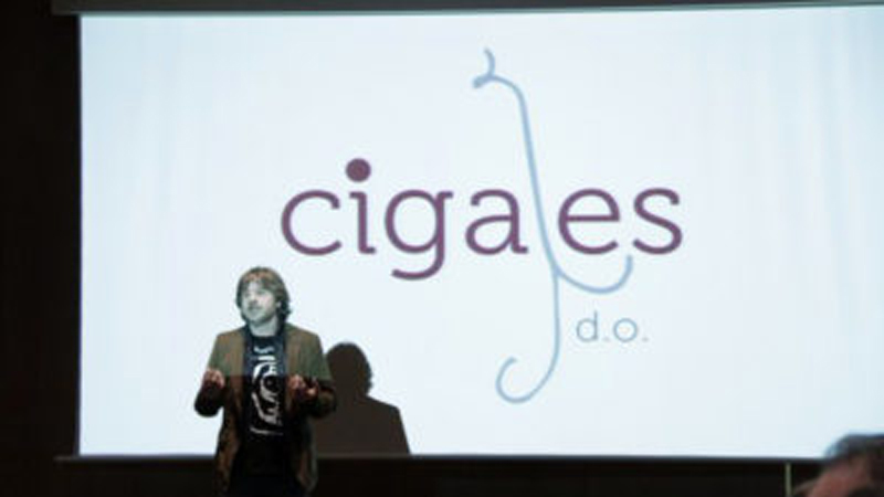 Presentación Imagen D.O. Cigales
